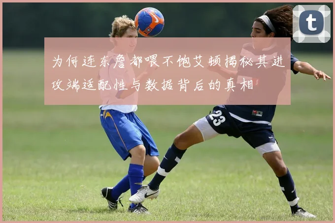 为何连东詹都喂不饱艾顿揭秘其进攻端适配性与数据背后的真相