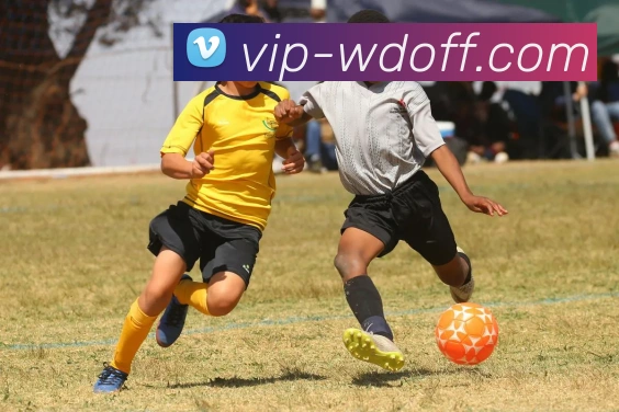 问鼎APP官方中心全站App 问鼎APP官方中心全站App